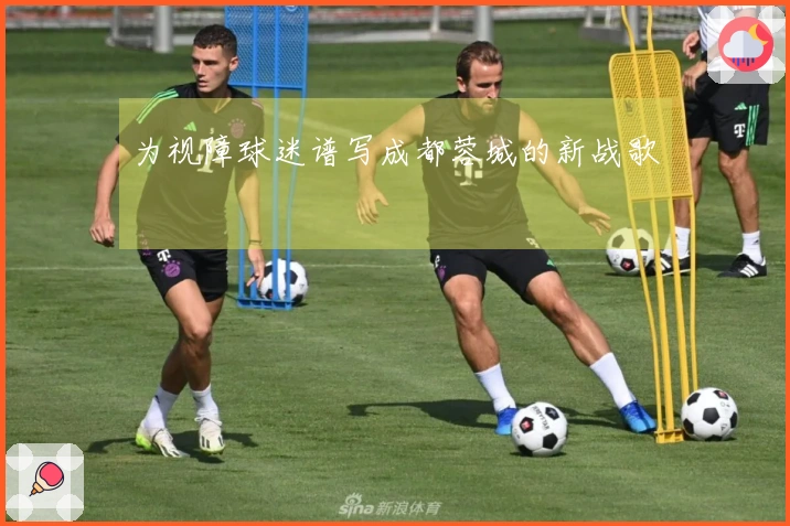 为视障球迷谱写成都蓉城的新战歌